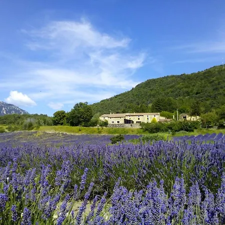 De Mielandre Bed & Breakfast *